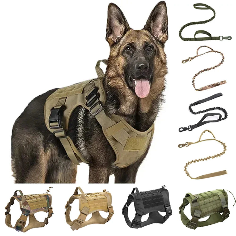 10 Reasons Why a Military-Grade No-Pull Dog Harness is the Best Choice