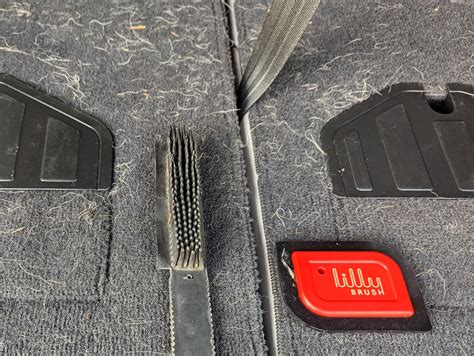 How to Protect Your Car from Dog Hair and Dirt