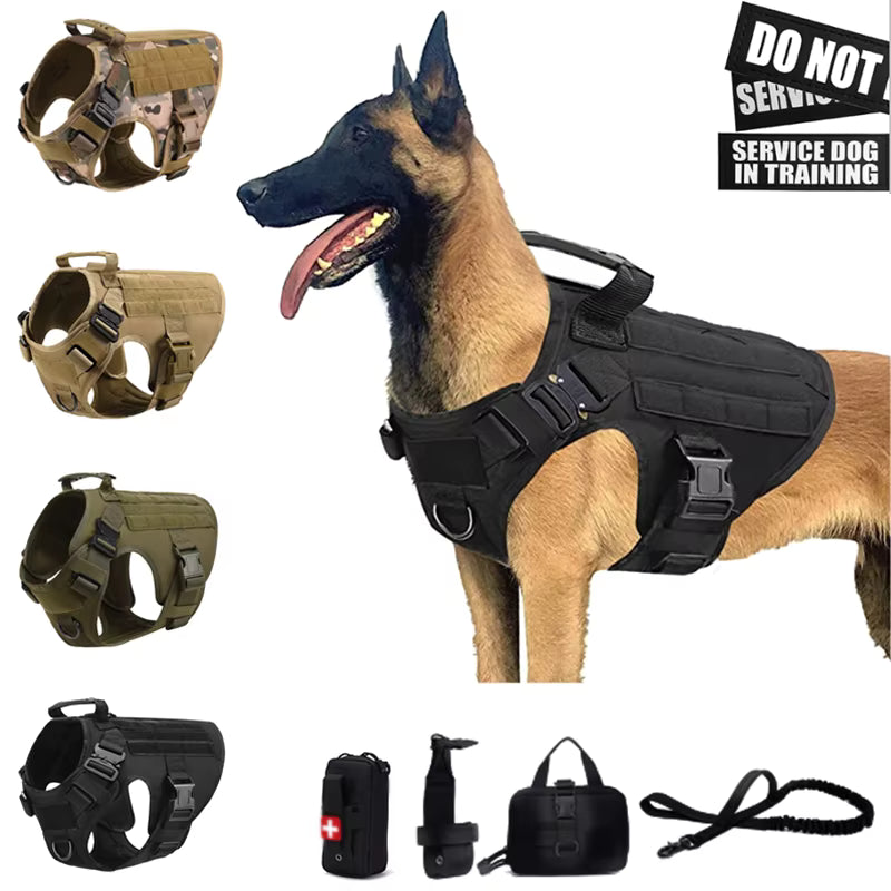 Why Military-Grade Dog Harnesses Provide Maximum Control