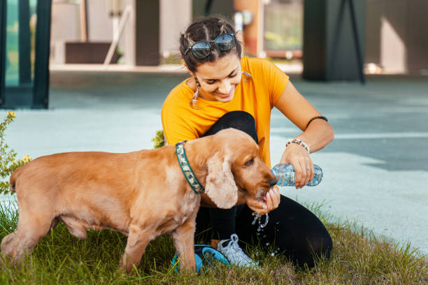 Top 10 Dog Walk Hacks Using a Bottle + Dispenser