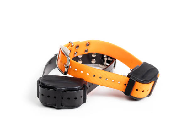 10 Reasons Why a Humane Dog Shock Training Collar with Intelligent Lead is Effective