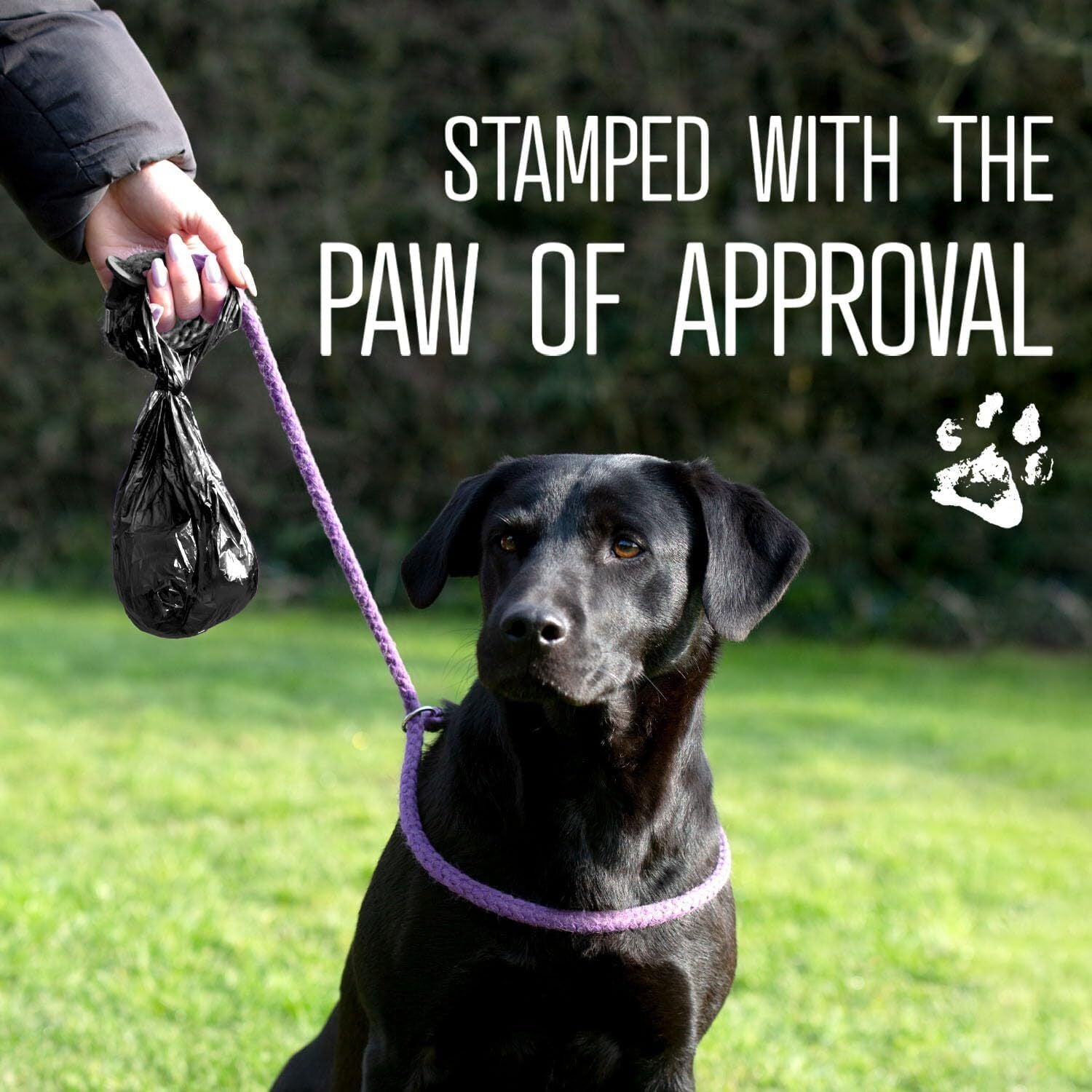 Large dog poop bags with easy tie handles close-up detail