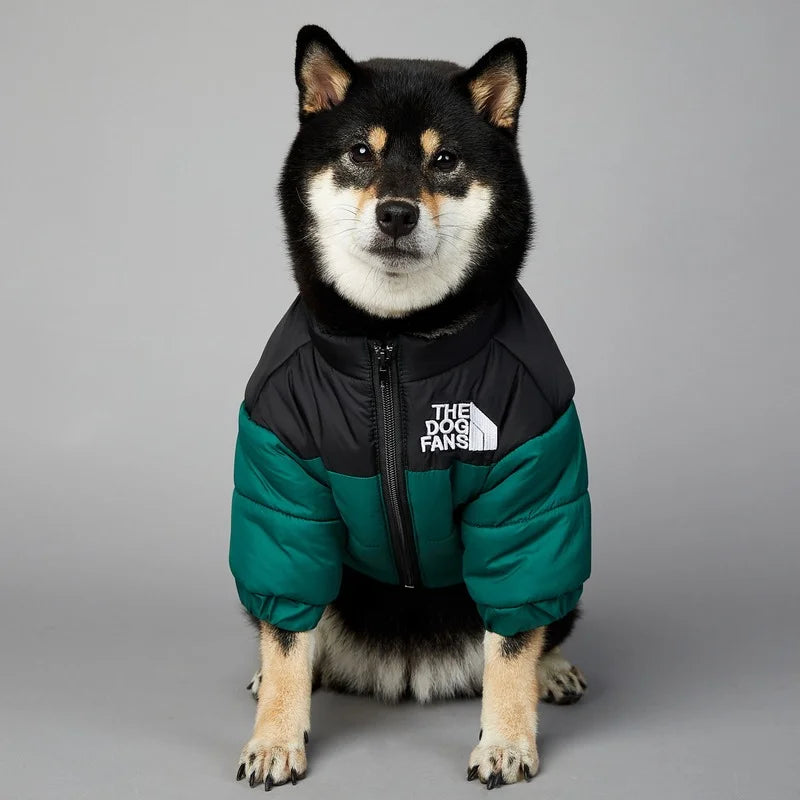 Winter Dog Jacket – Warm Cotton Coat (Sizes S–5XL)
