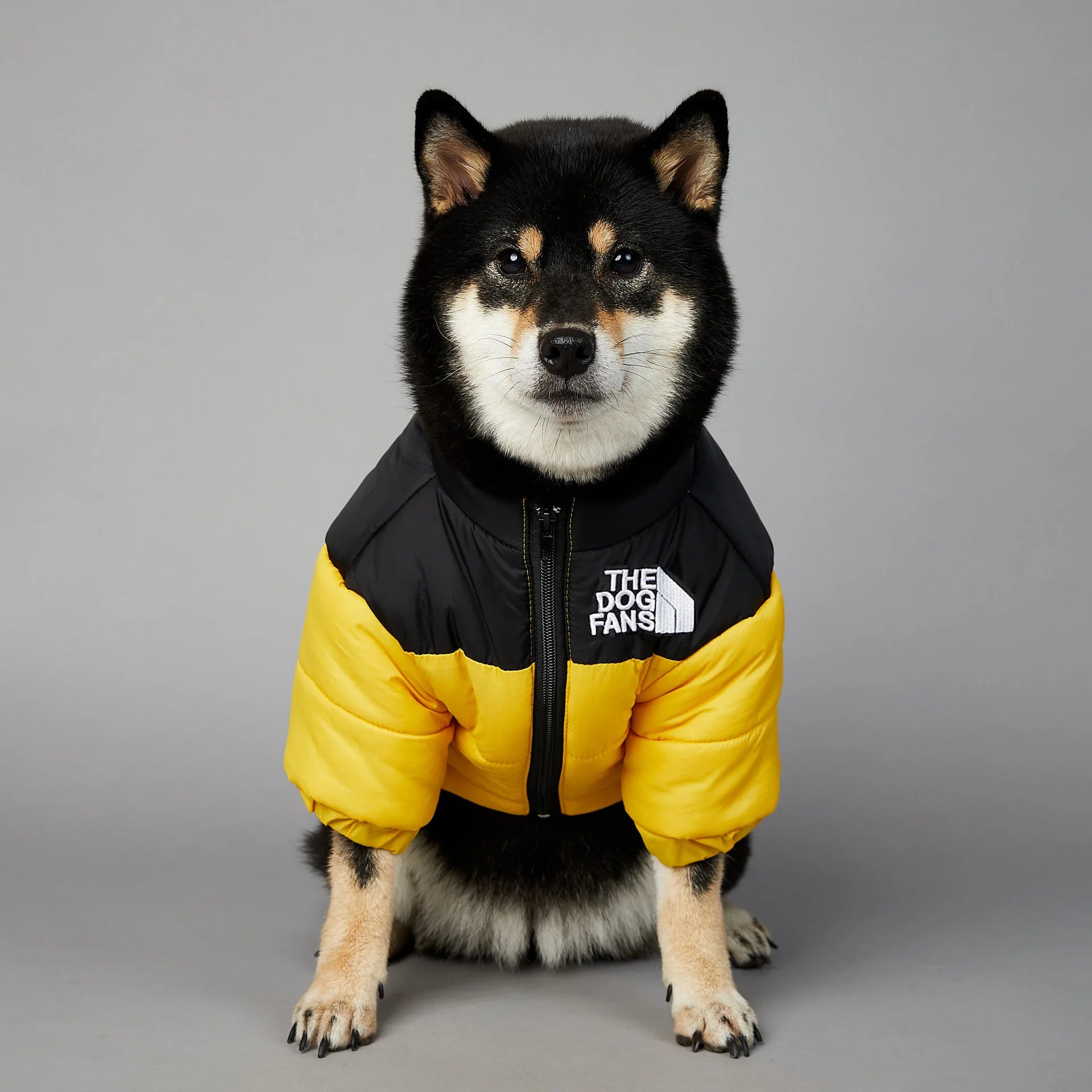 Winter Dog Jacket – Warm Cotton Coat (Sizes S–5XL)