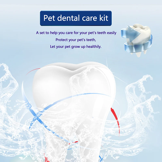 Pet dental care kit with a tooth and plaque model on a light blue background