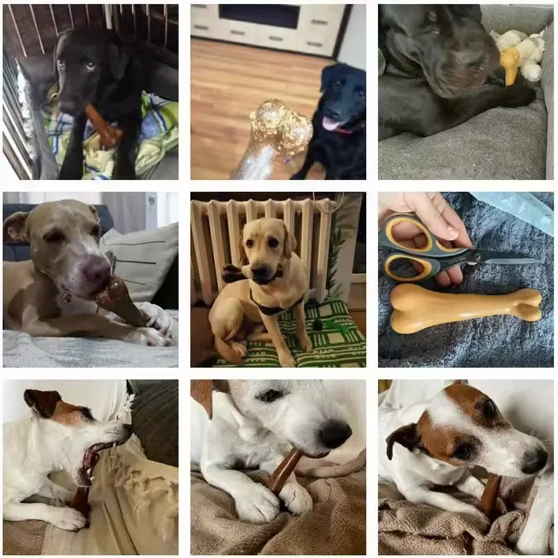 Nearly Indestructible Dog Bone Chew Toy – Natural, Non-Toxic, and Built for Tough Chewers