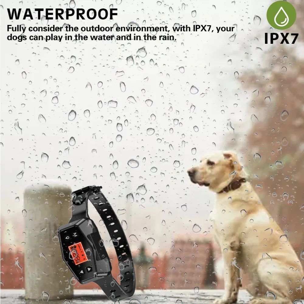 GPS Dog Fence & Tracker Collar