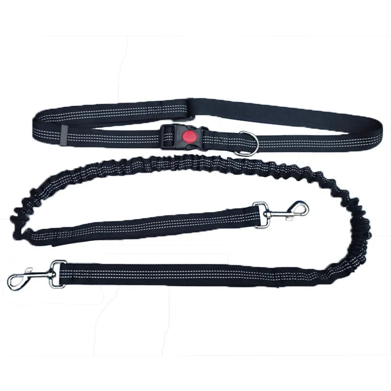 Sturdy Hands-Free Dog Leash – The Ultimate Solution for Running, Jogging & Stress-Free Walks!