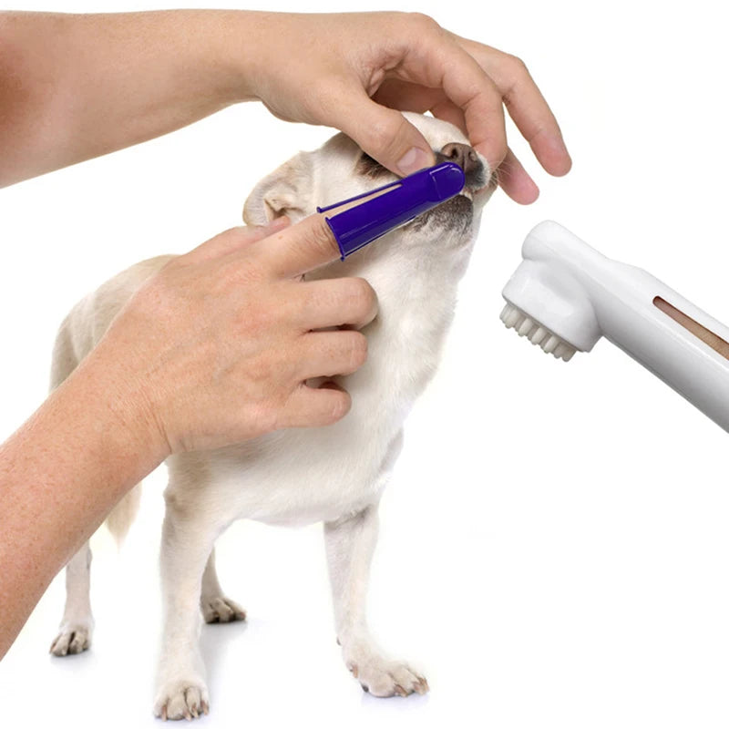 Dog dental care kit with toothpaste, toothbrush, finger brush, and dental wipes