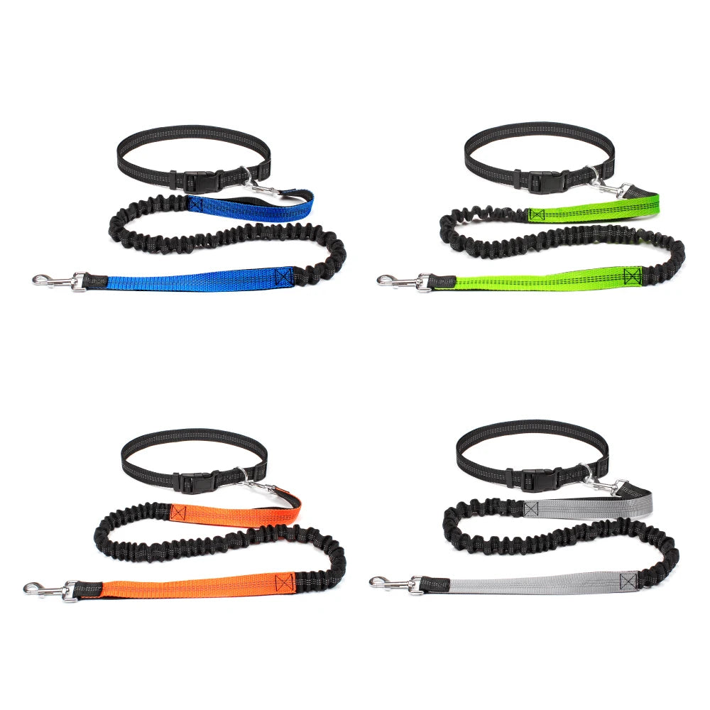 Sturdy Hands-Free Dog Leash – The Ultimate Solution for Running, Jogging & Stress-Free Walks!