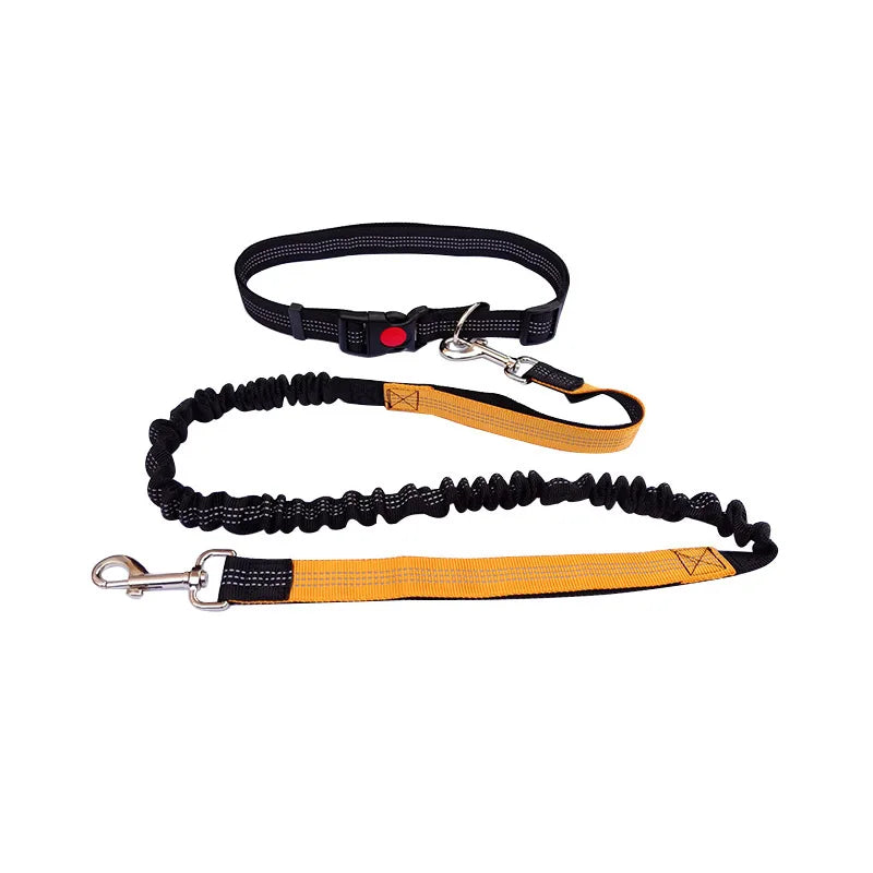 Sturdy Hands-Free Dog Leash – The Ultimate Solution for Running, Jogging & Stress-Free Walks!