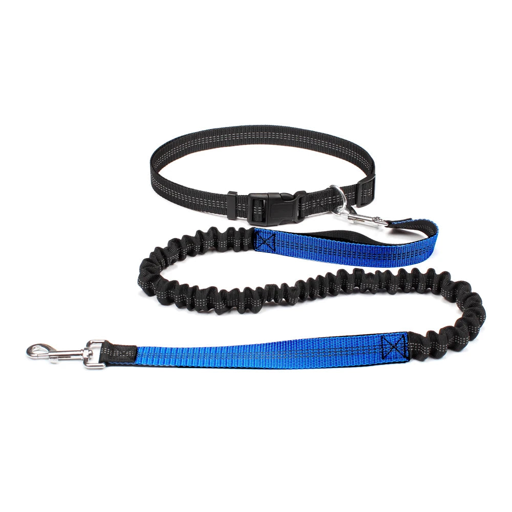 Sturdy Hands-Free Dog Leash – The Ultimate Solution for Running, Jogging & Stress-Free Walks!