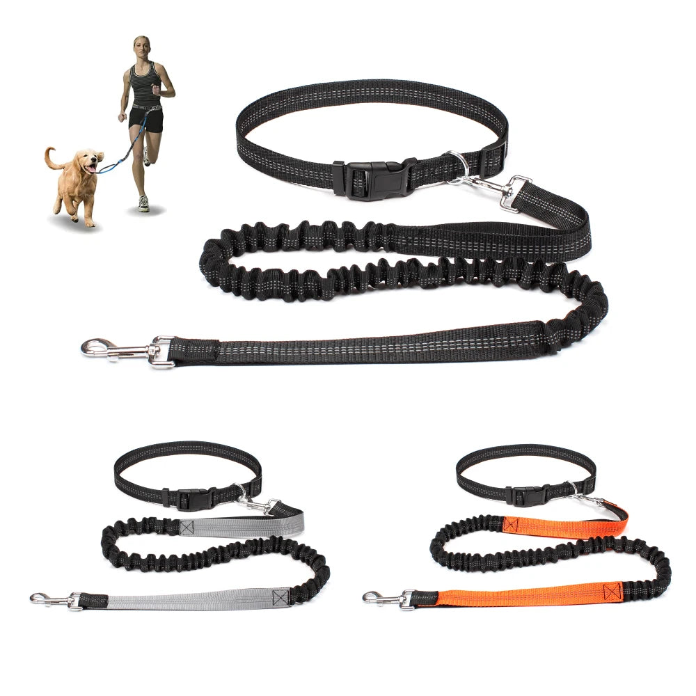 Sturdy Hands-Free Dog Leash – The Ultimate Solution for Running, Jogging & Stress-Free Walks!