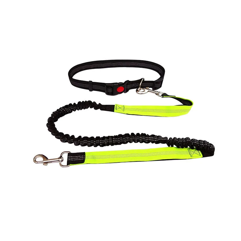 Sturdy Hands-Free Dog Leash – The Ultimate Solution for Running, Jogging & Stress-Free Walks!