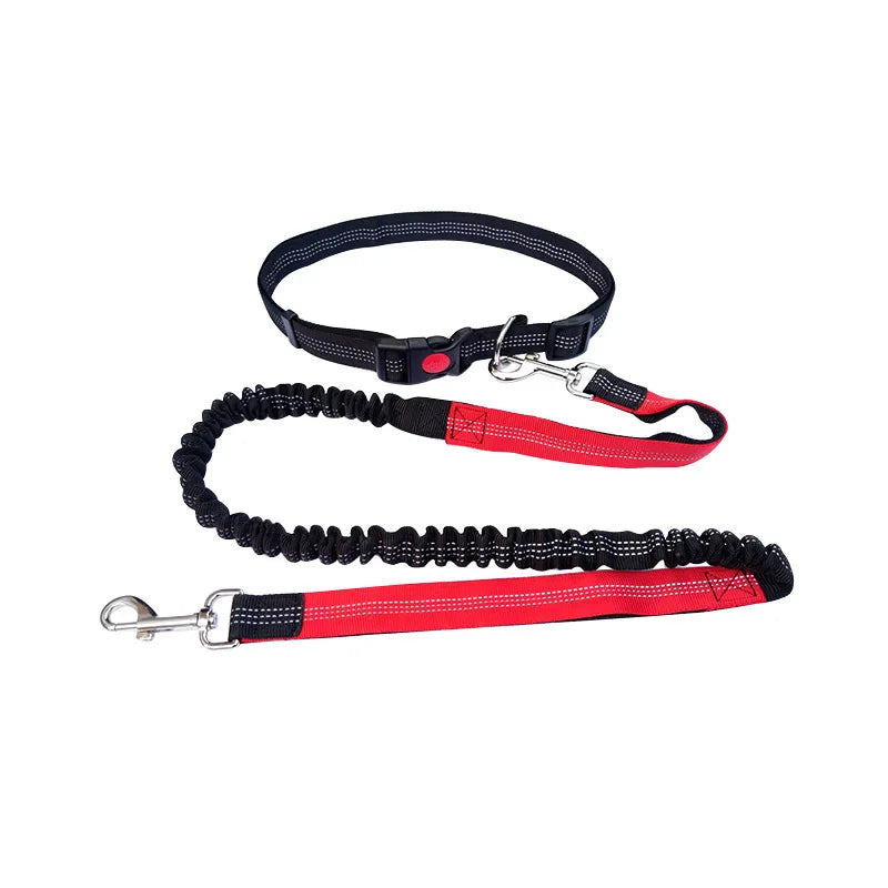 Sturdy Hands-Free Dog Leash – The Ultimate Solution for Running, Jogging & Stress-Free Walks!