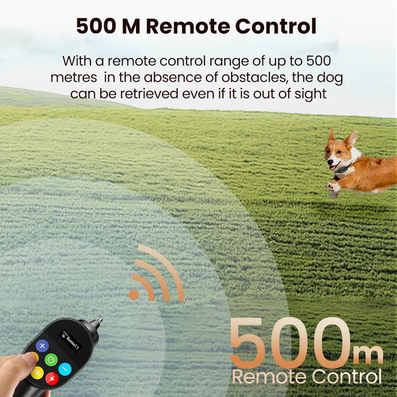 Dog Shock Collar with Remote Lead
