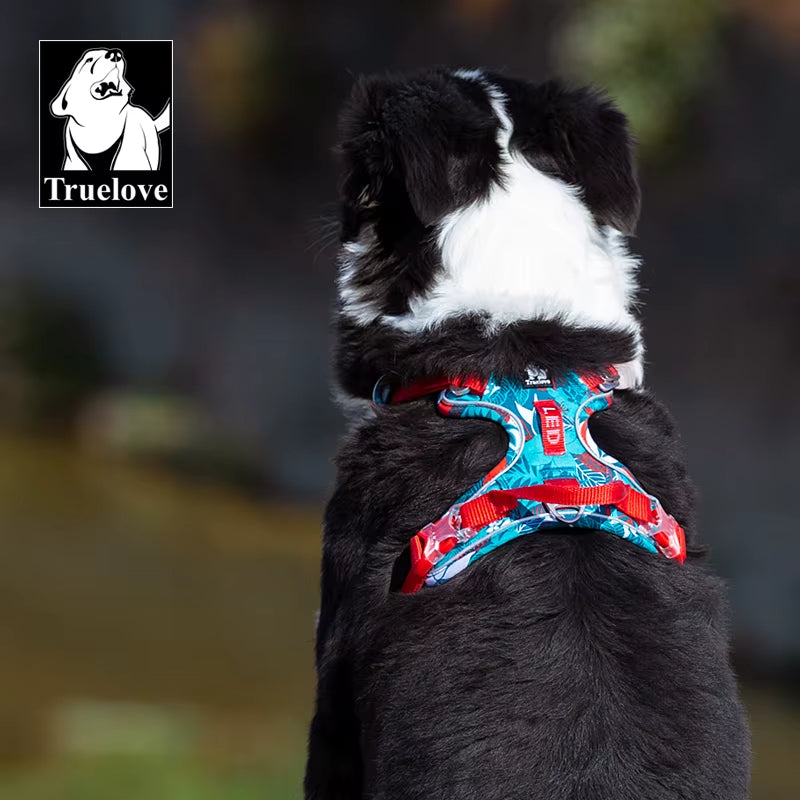 Dog wearing a colorful harness with 'Truelove' logo in the corner
