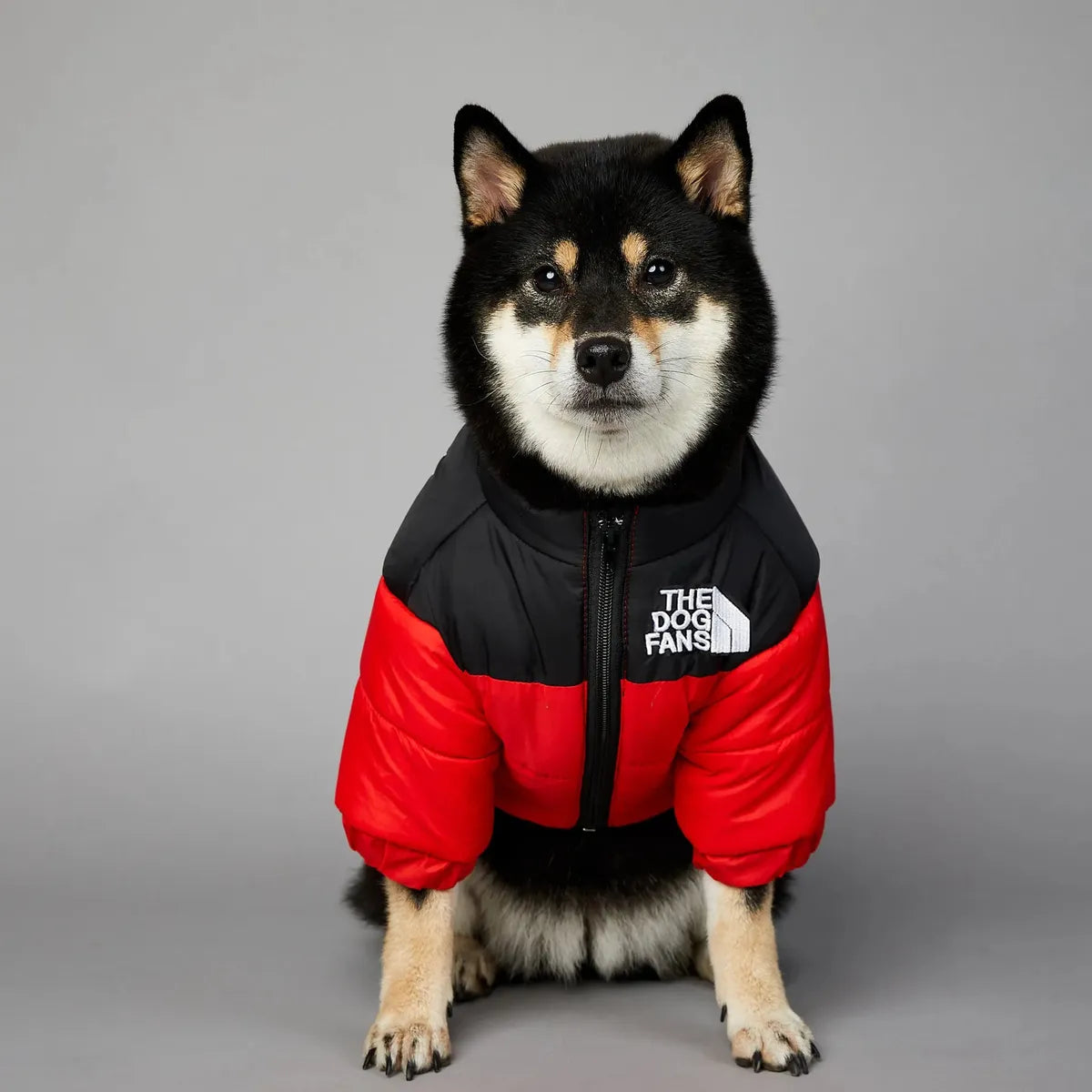 Winter Dog Jacket – Warm Cotton Coat (Sizes S–5XL)